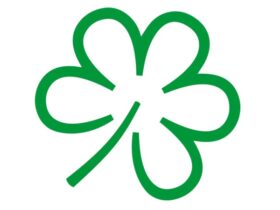 stella verde storiedicibo