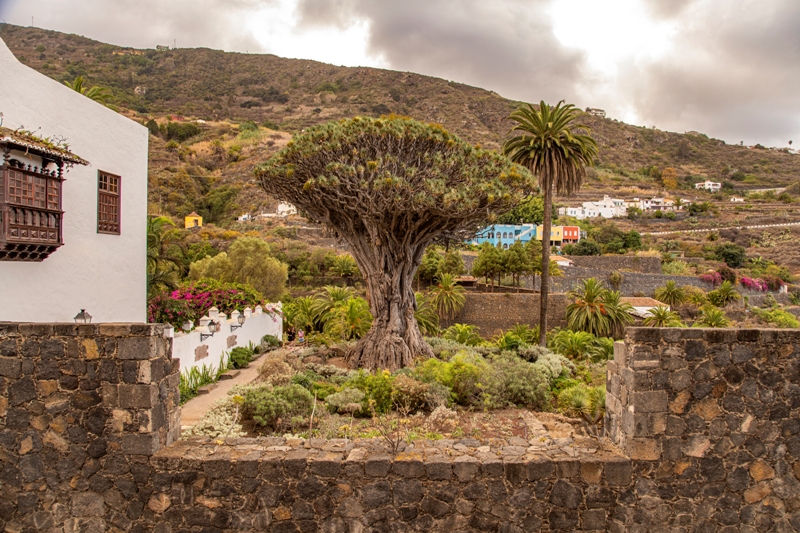 tenerife experience storiedicibo