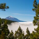 tenerife experience storiedicibo