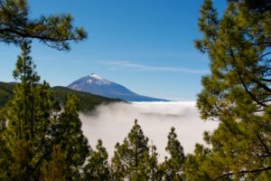 tenerife experience storiedicibo