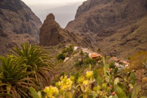 tenerife experience storiedicibo