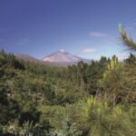 tenerife experience storiedicibo