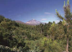 tenerife experience storiedicibo