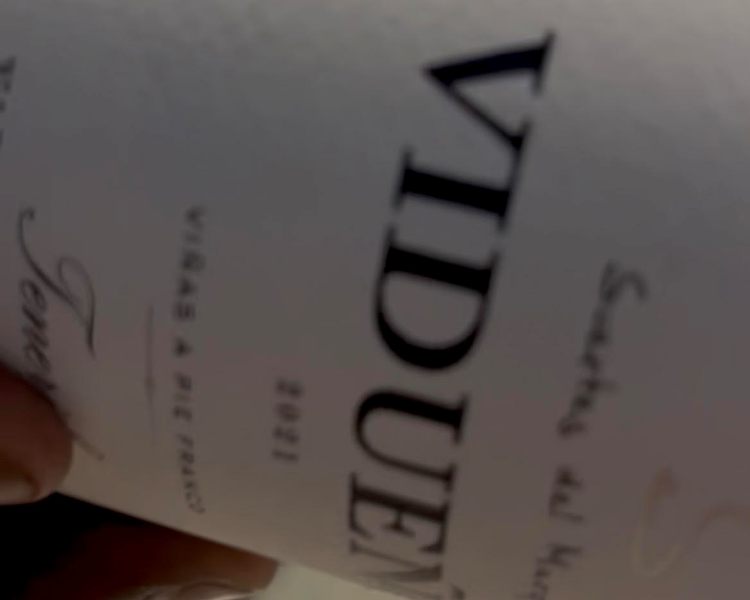 tenerife experience vino storiedicibo