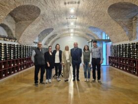 barolo 365 enoteca regionale storiedicibo