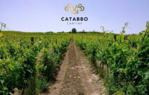 Tintilia Catabbo del Molise STORIEDICIBO