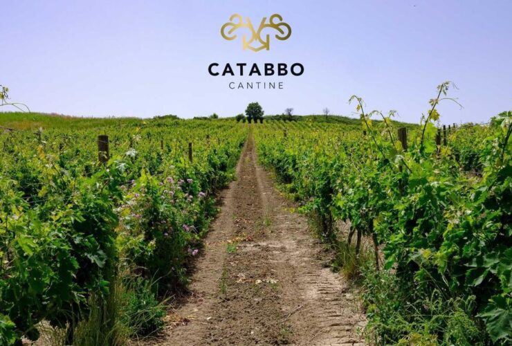 Tintilia Catabbo del Molise STORIEDICIBO