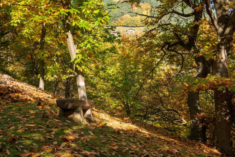 chiusa autunno storiedicibo