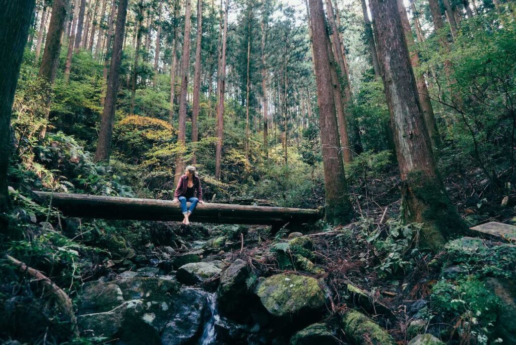 silent travel foret bathing