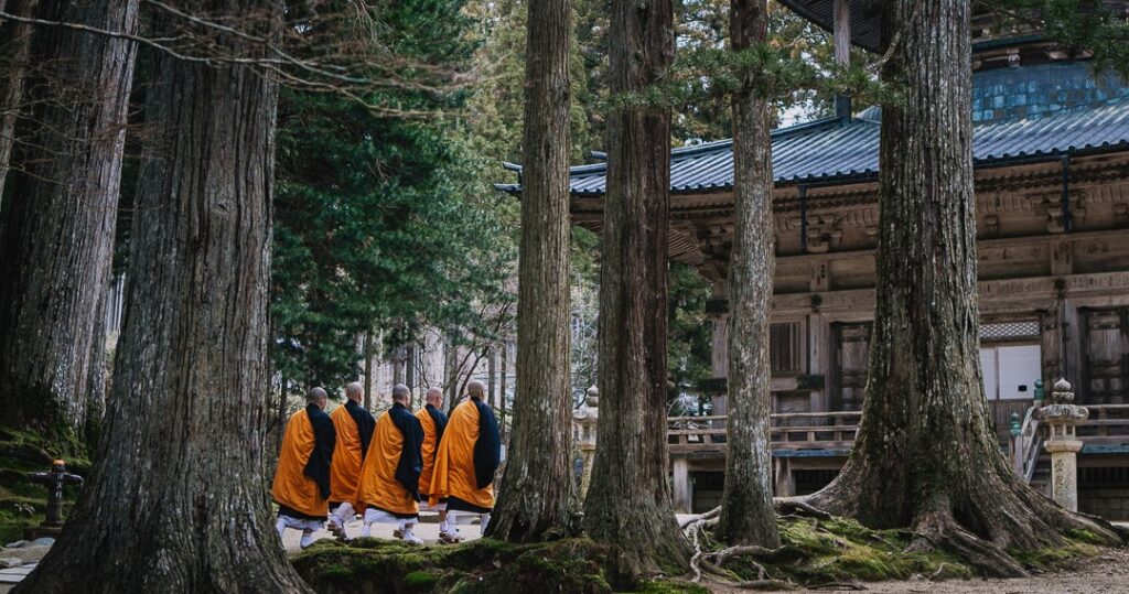 silent trvel monte koya