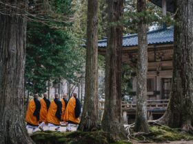 silent travel monte koya